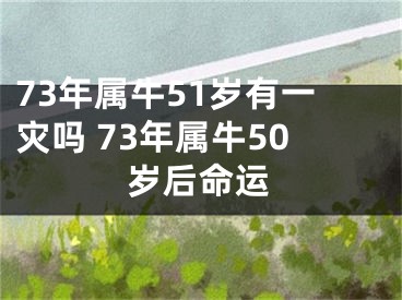 73年属牛51岁有一灾吗 73年属牛50岁后命运