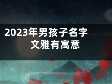 2023年男孩子名字文雅有寓意