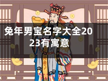 兔年男宝名字大全2023有寓意