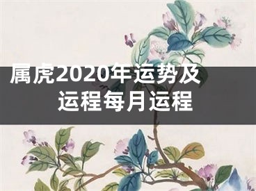 属虎2020年运势及运程每月运程