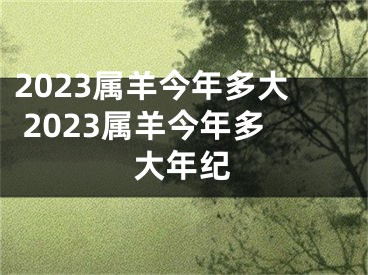 2023属羊今年多大 2023属羊今年多大年纪