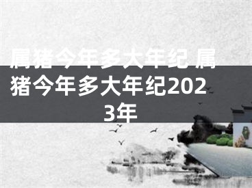 属猪今年多大年纪 属猪今年多大年纪2023年