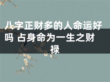 八字正财多的人命运好吗 占身命为一生之财禄