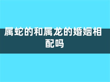 属蛇的和属龙的婚姻相配吗