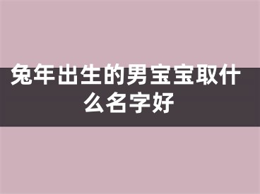 兔年出生的男宝宝取什么名字好