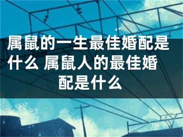 属鼠的一生最佳婚配是什么 属鼠人的最佳婚配是什么