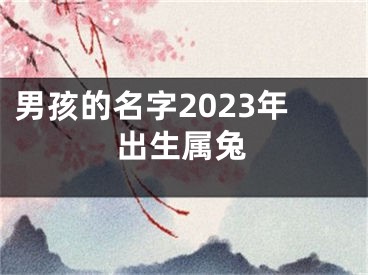 男孩的名字2023年出生属兔