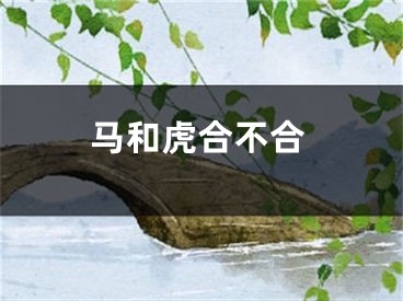 马和虎合不合