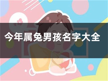 今年属兔男孩名字大全