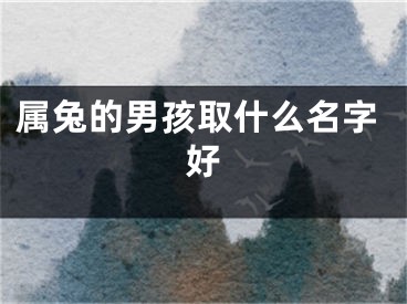 属兔的男孩取什么名字好