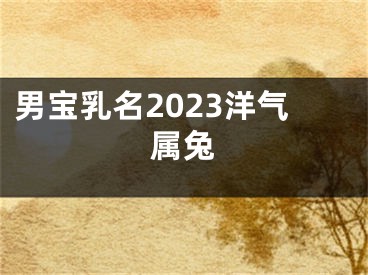 男宝乳名2023洋气属兔