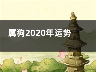 属狗2020年运势