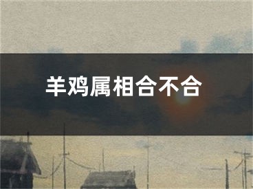 羊鸡属相合不合