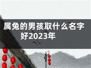 属兔的男孩取什么名字好2023年