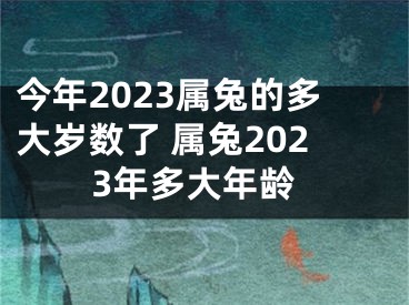 今年2023属兔的多大岁数了 属兔2023年多大年龄