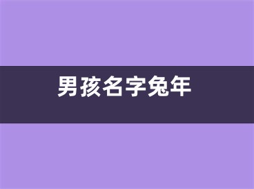 男孩名字兔年