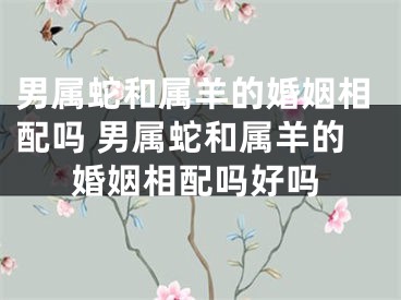 男属蛇和属羊的婚姻相配吗 男属蛇和属羊的婚姻相配吗好吗