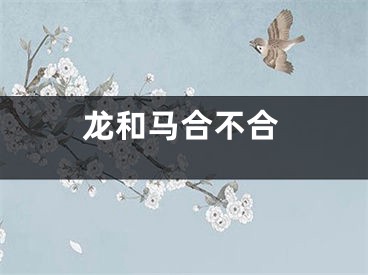 龙和马合不合