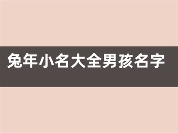 兔年小名大全男孩名字