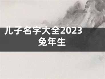 儿子名字大全2023兔年生