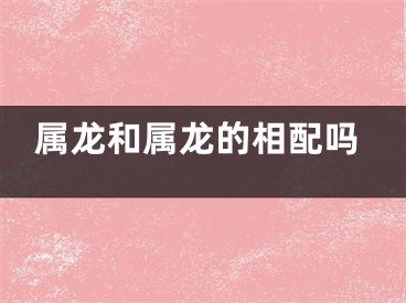 属龙和属龙的相配吗