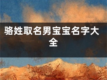 骆姓取名男宝宝名字大全