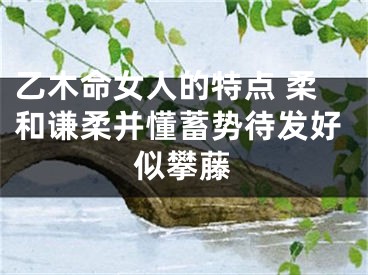 乙木命女人的特点 柔和谦柔并懂蓄势待发好似攀藤