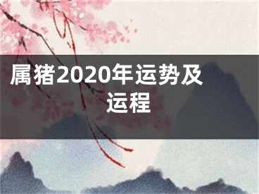 属猪2020年运势及运程