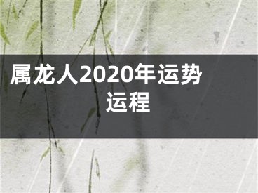 属龙人2020年运势运程