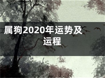 属狗2020年运势及运程