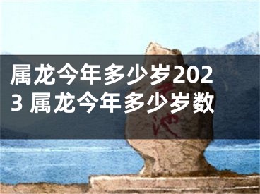 属龙今年多少岁2023 属龙今年多少岁数