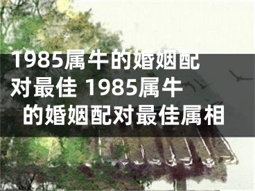 1985属牛的婚姻配对最佳 1985属牛的婚姻配对最佳属相