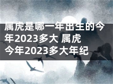 属虎是哪一年出生的今年2023多大 属虎今年2023多大年纪