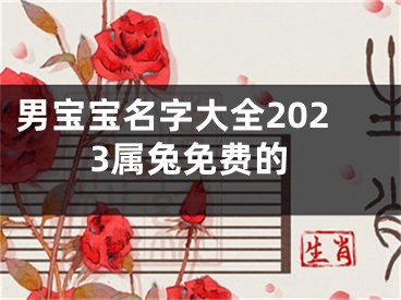 男宝宝名字大全2023属兔免费的