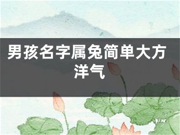 男孩名字属兔简单大方洋气