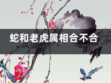 蛇和老虎属相合不合