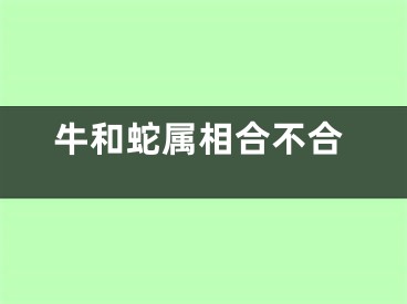 牛和蛇属相合不合