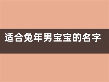 适合兔年男宝宝的名字