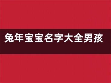 兔年宝宝名字大全男孩