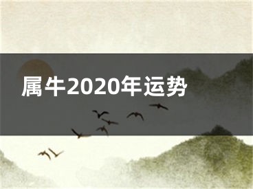 属牛2020年运势