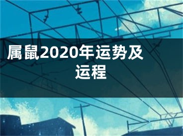 属鼠2020年运势及运程