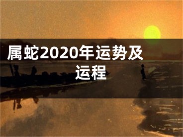 属蛇2020年运势及运程