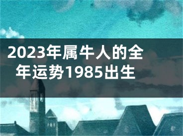 2023年属牛人的全年运势1985出生