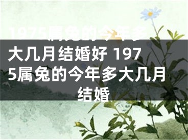 1975属兔的今年多大几月结婚好 1975属兔的今年多大几月结婚