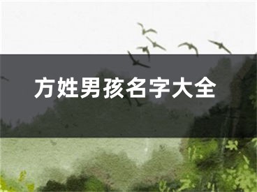 方姓男孩名字大全