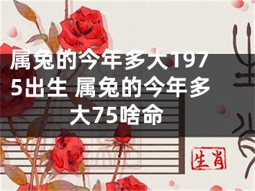 属兔的今年多大1975出生 属兔的今年多大75啥命