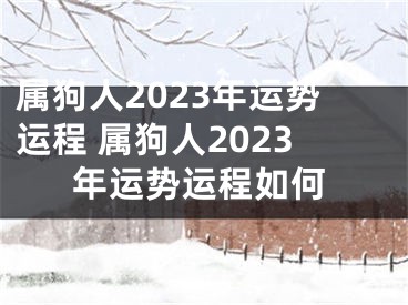 属狗人2023年运势运程 属狗人2023年运势运程如何