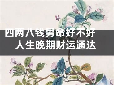 四两八钱男命好不好 人生晚期财运通达