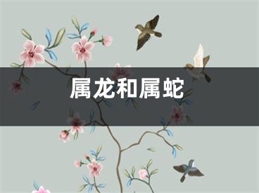 属龙和属蛇