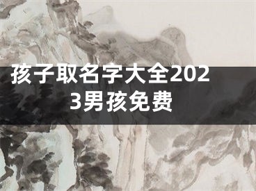 孩子取名字大全2023男孩免费